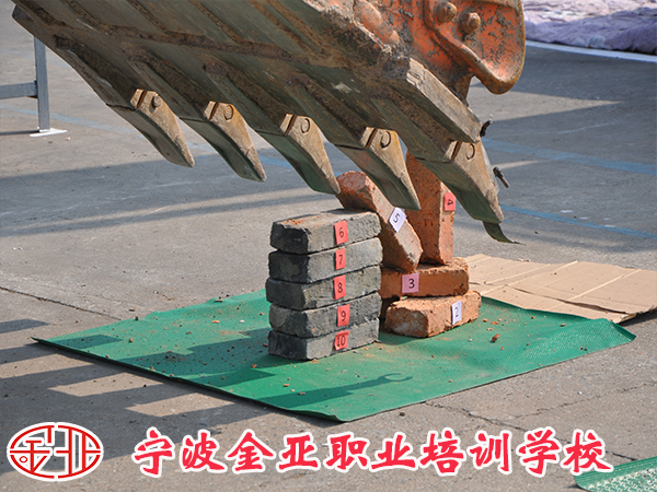 金亚挖掘机培训班随到随学